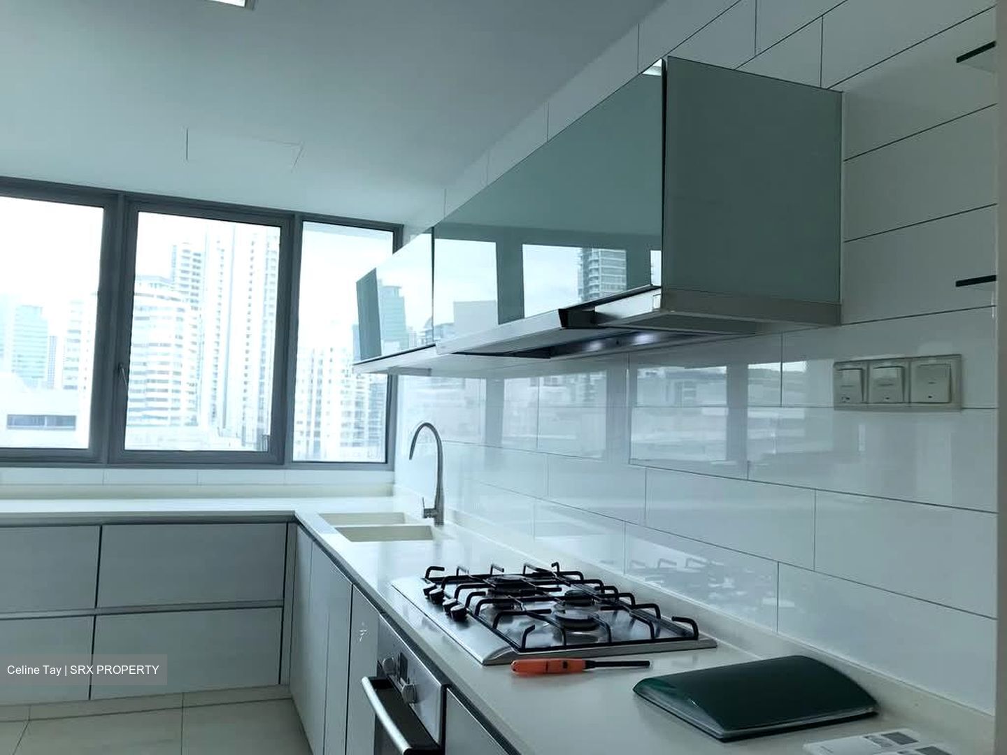 Pavilion 11 (D11), Condominium #568363301